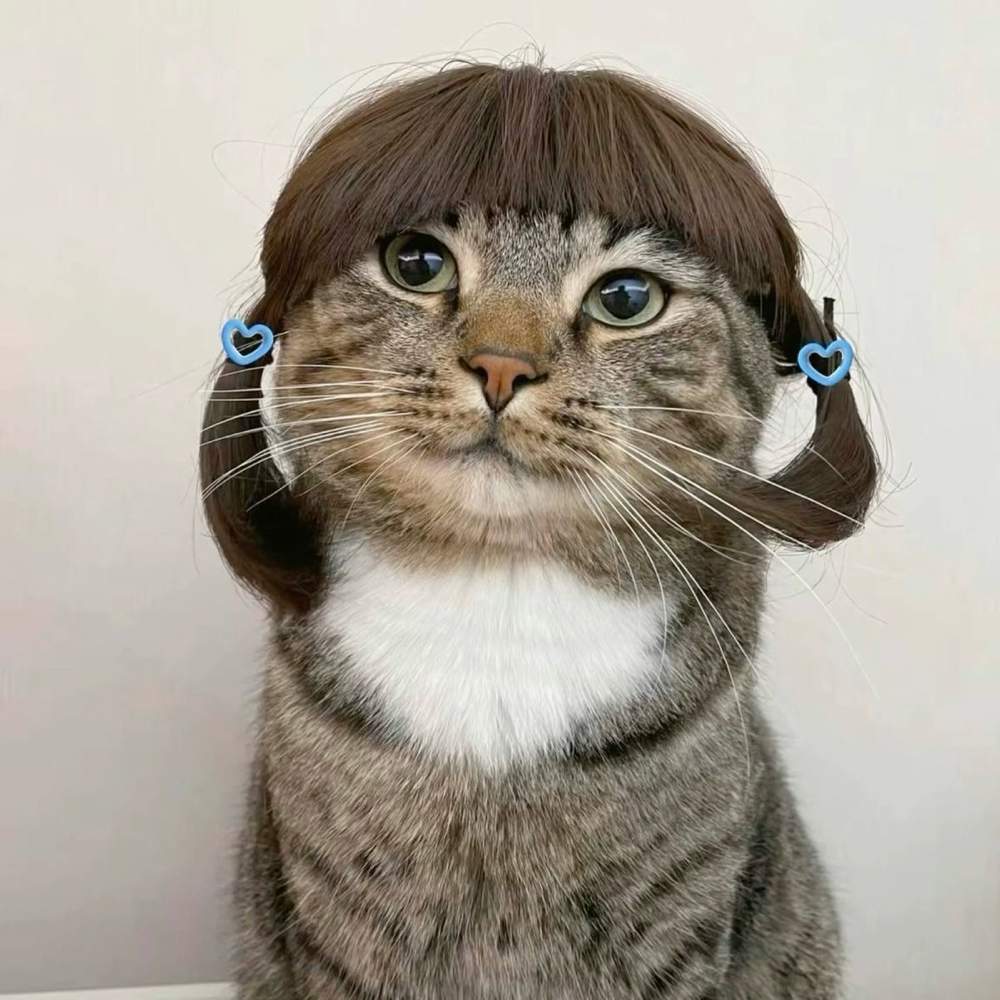 THE BANG TRIM｡𖦹°‧