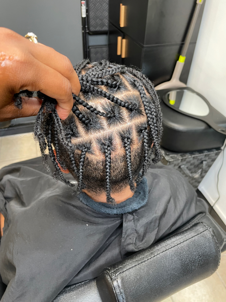 Box Braids (sm-med-lrg)