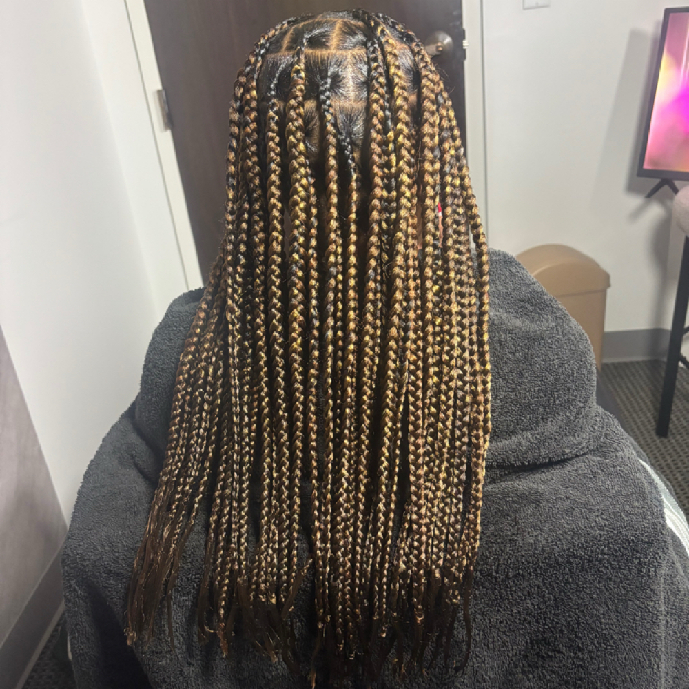 Large Knotless Braids💕 at SheStyles.BySarai in Aurora, CO