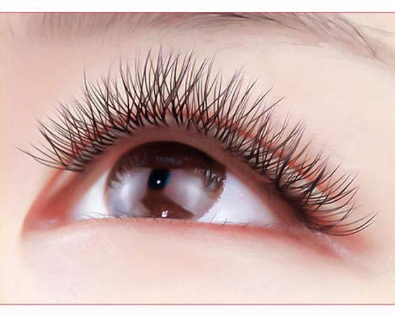 YY Lashes