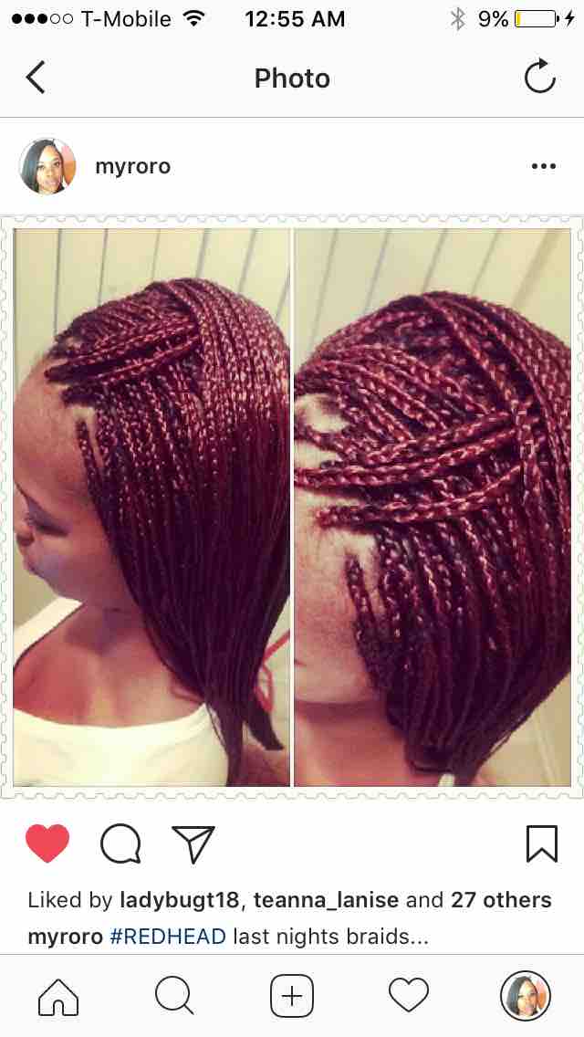 Small Box Braids  /Human