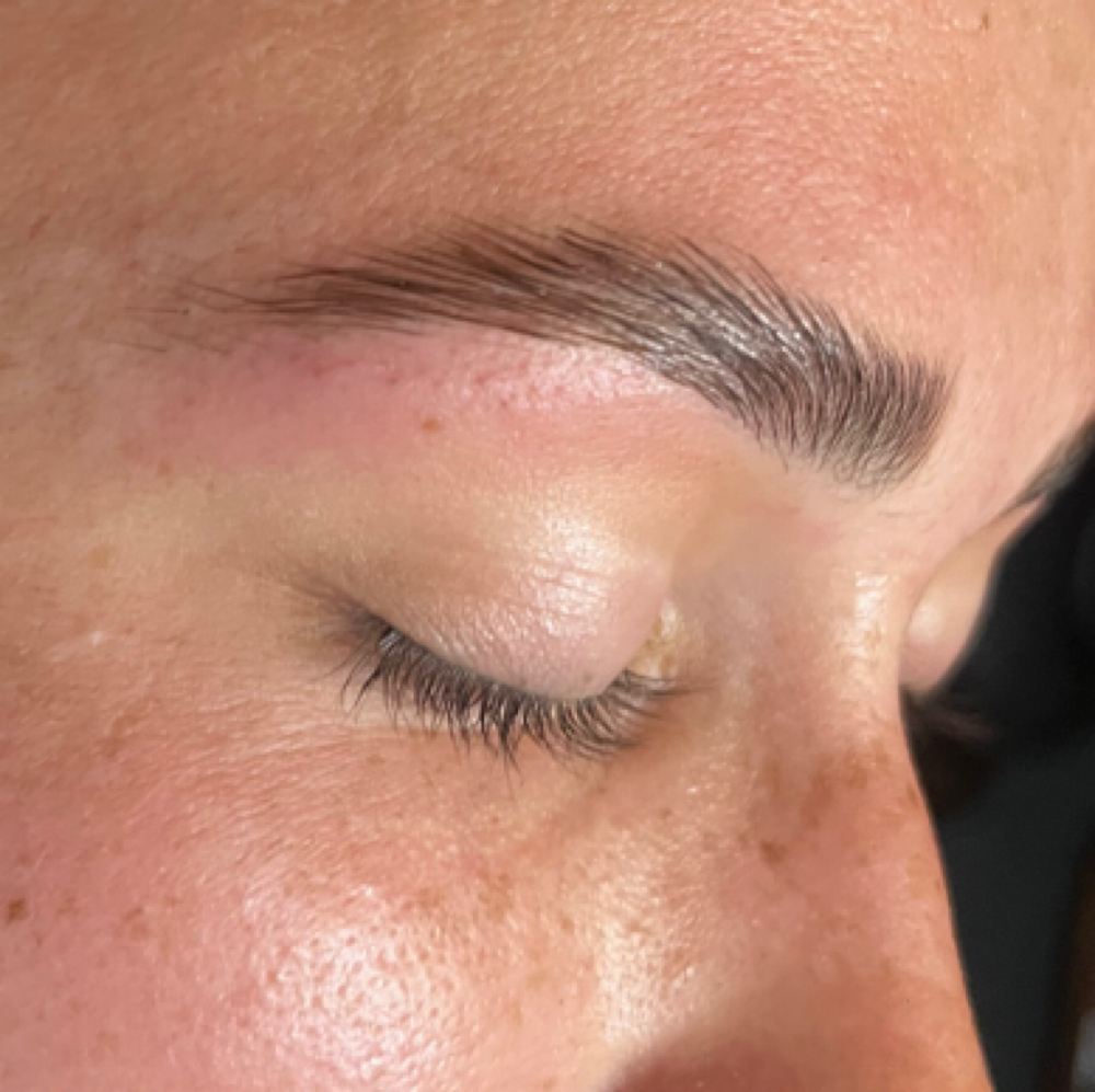 Brow Lamination, Wax and Tint at Ellie McGrath Esthetics in Aurora, IL