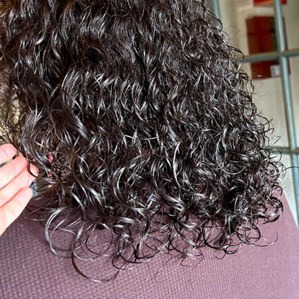 Curly Trim *No layerd added at Hair by Alex Hernandez in Clovis, CA