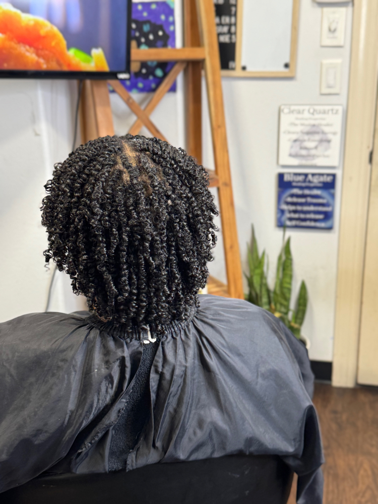 Two Strand Twist ( Mini Twist)