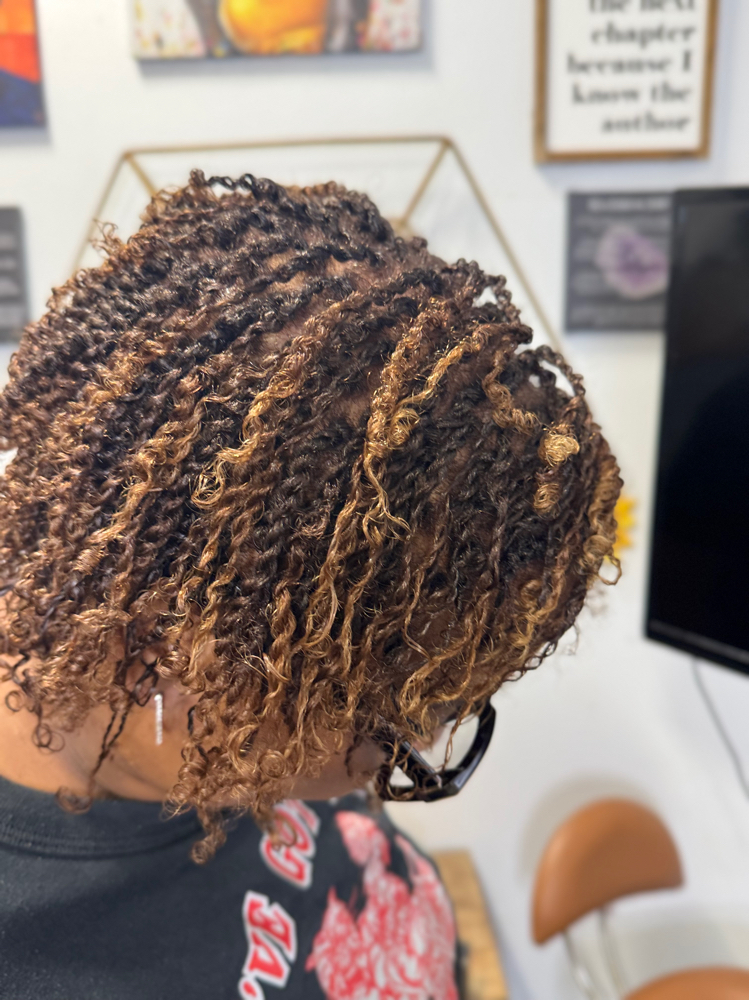 Two Strand Twist ( Mini Twist)