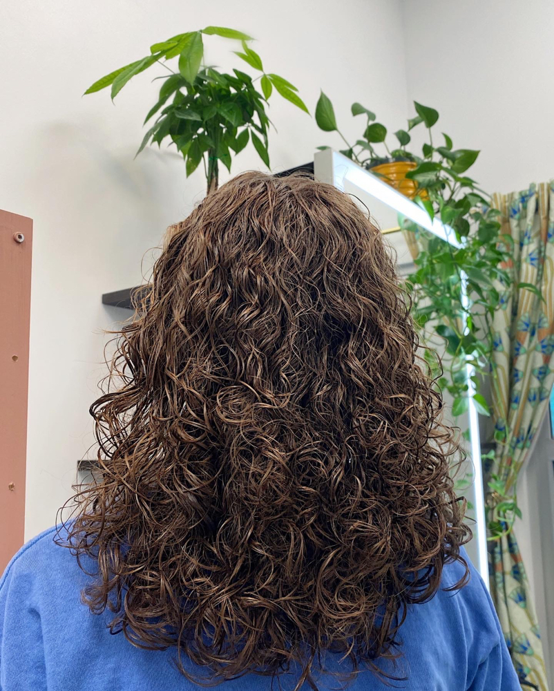 Devacurl Haircut