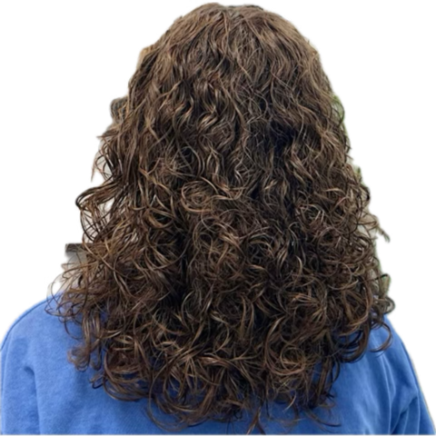 Devacurl Haircut at The Beauty Parlor by Alex in Watertown, MA