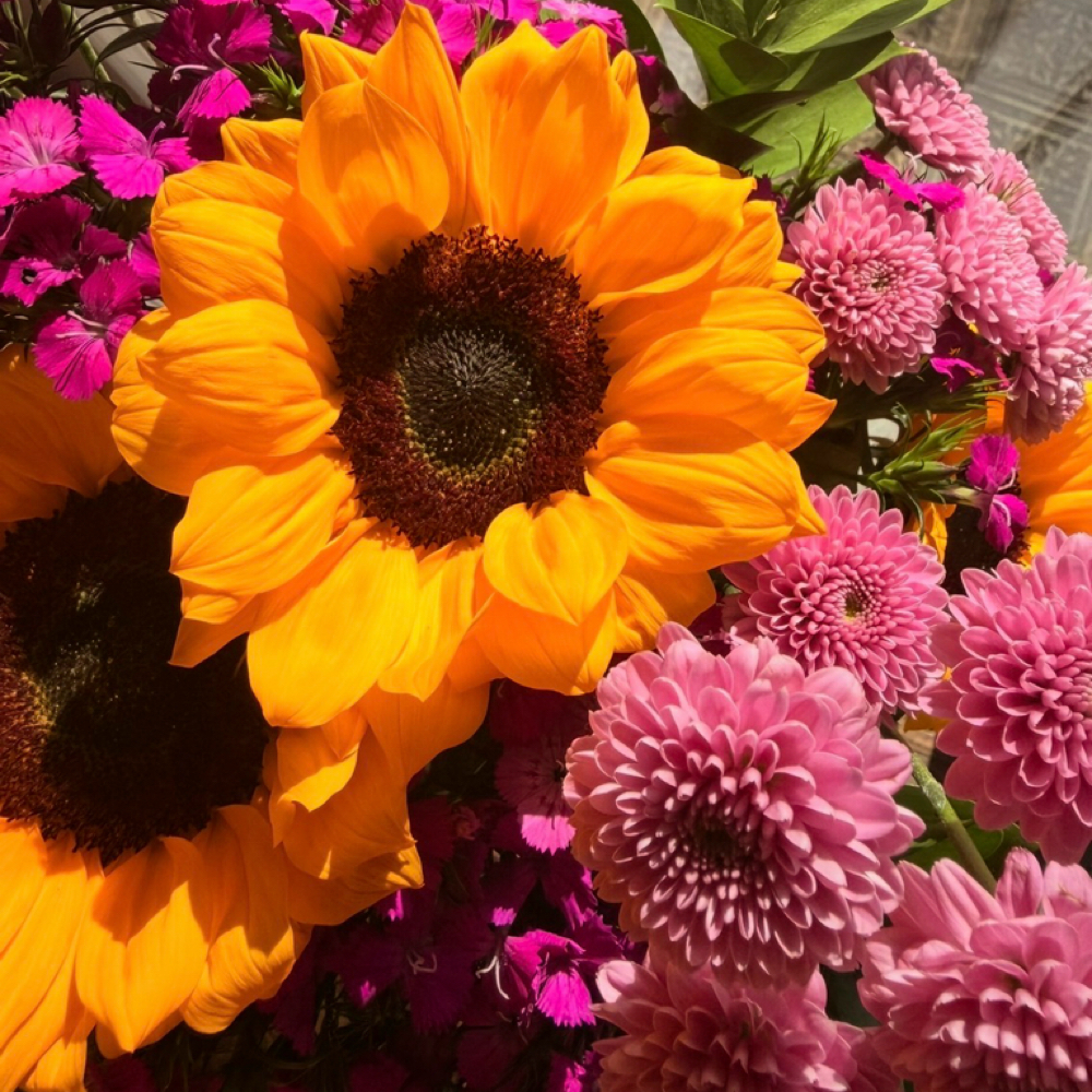 "Berry" Calming Spring Facial at The Skin Preserve in Severna park, MD