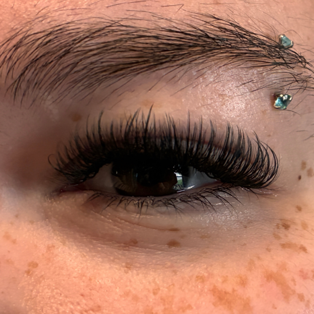 Volume Full Set at Lash Opulence in Mishawaka, IN