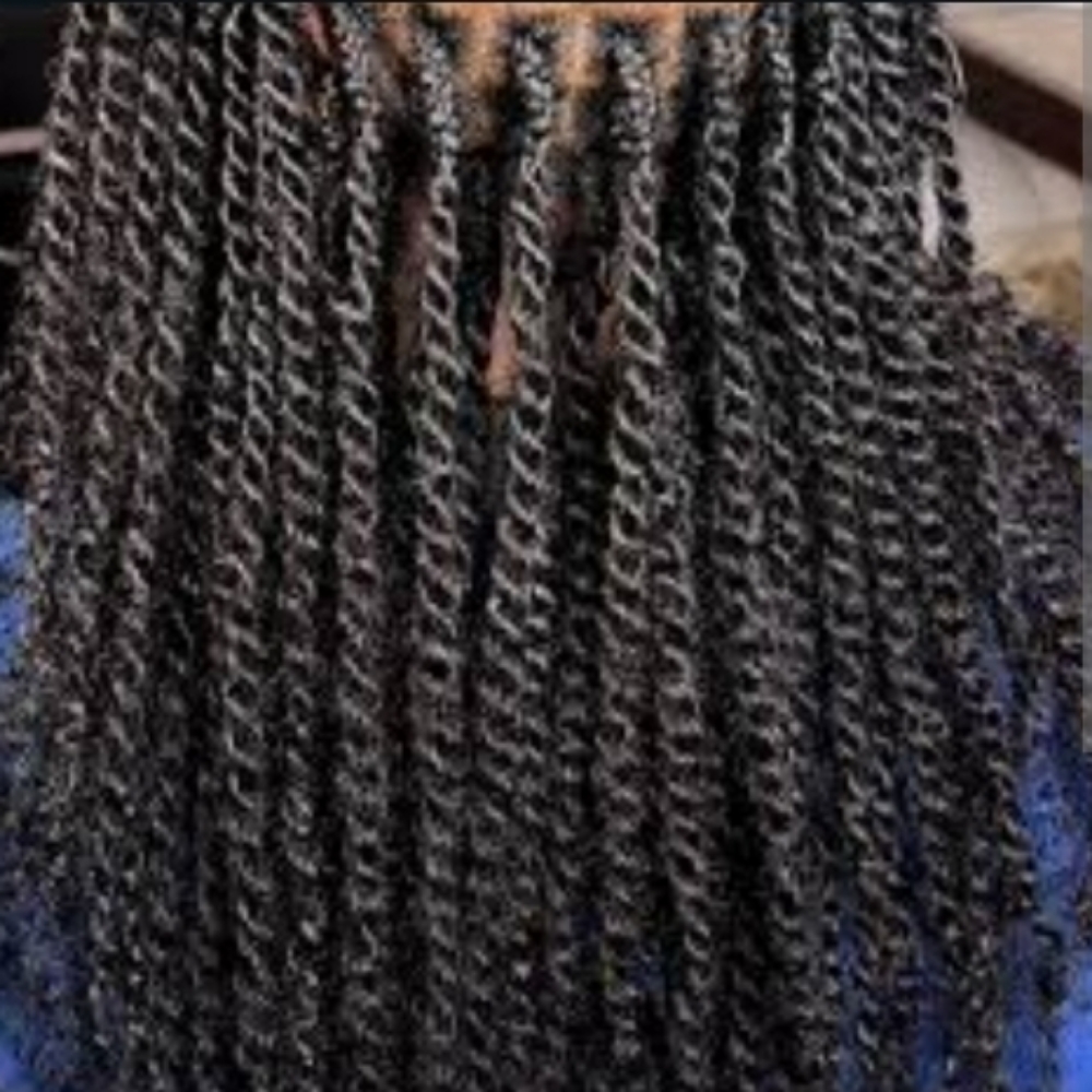 Kinky Twist~Small