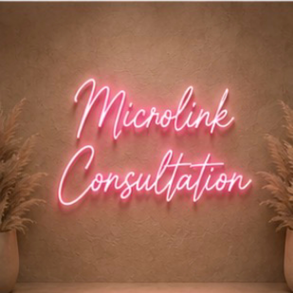 MICROLINK CONSULTATION at Everything Bomb in Dyer, IN