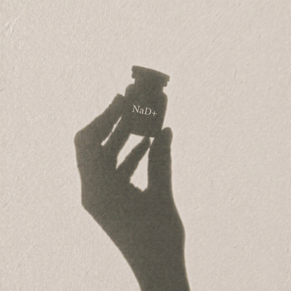NaD+ Peptide at Rein Aesthetics & Wellness in Alice, TX