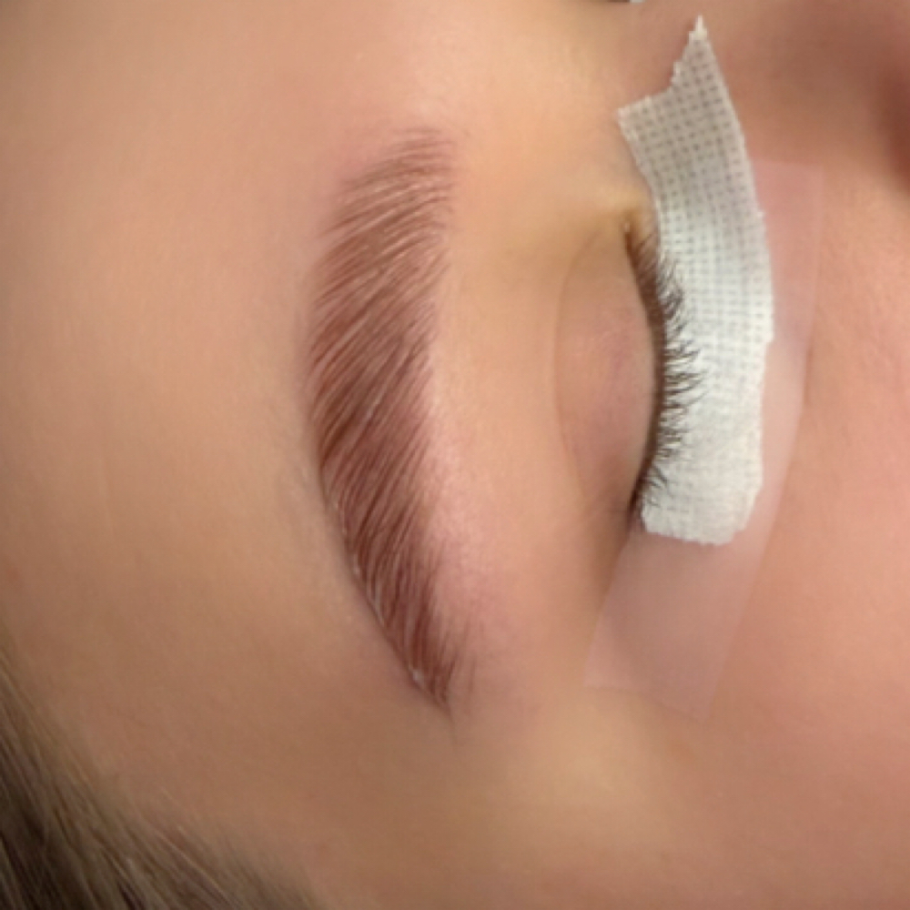 Just A Lamination (Brows Or Lash) at Alyssa Rene Esthetics in Lewiston, ID