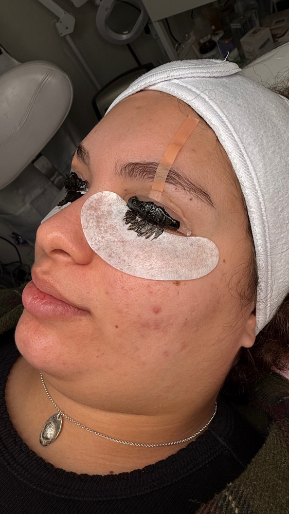 Lash Tinting Only ( Touch Up )
