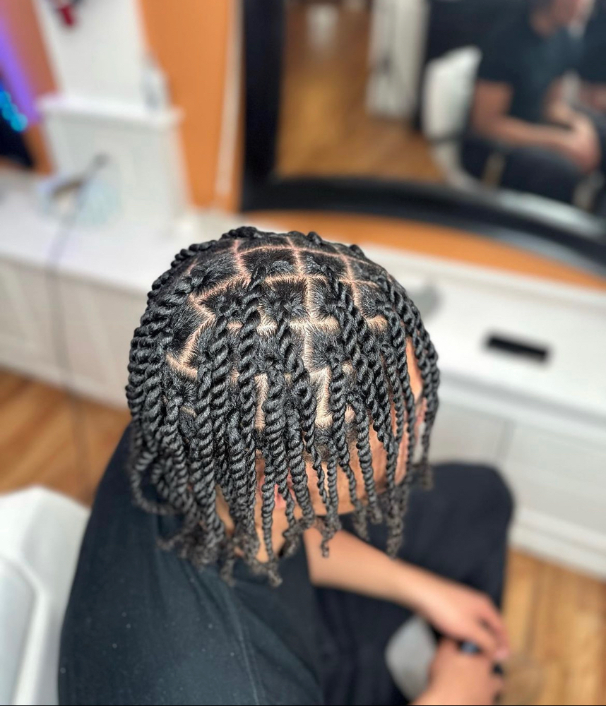 Two Strand Twists