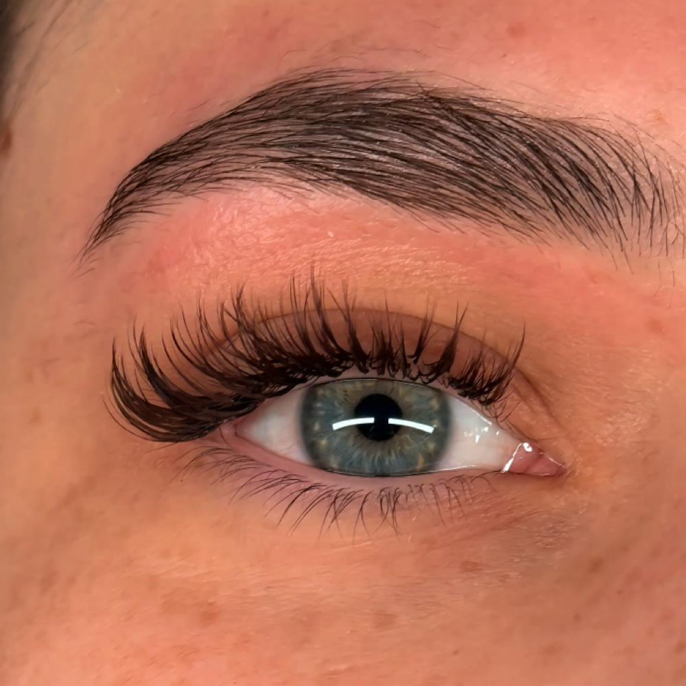 Wet Set Lash Extentions at Elegant Esthetics in Littleton, CO