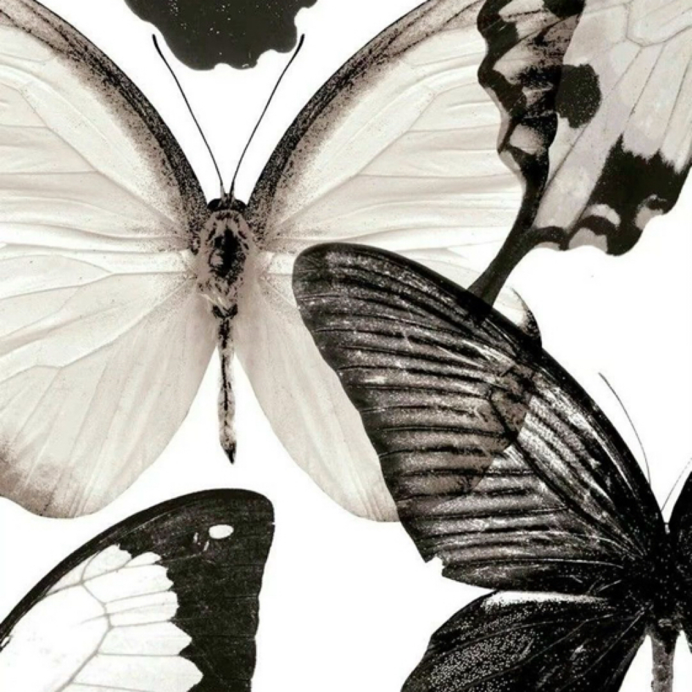 Sticker Sleeve (full)