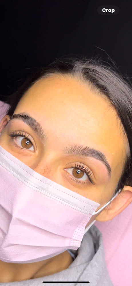Eyebrow Wax and Tint