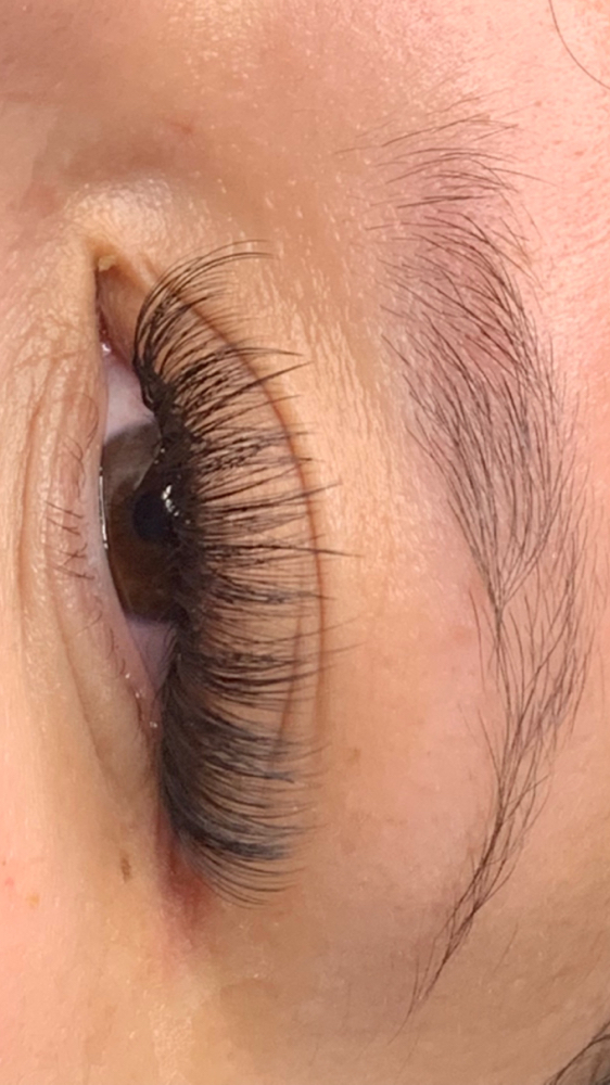 Hybrid Lashes ✨