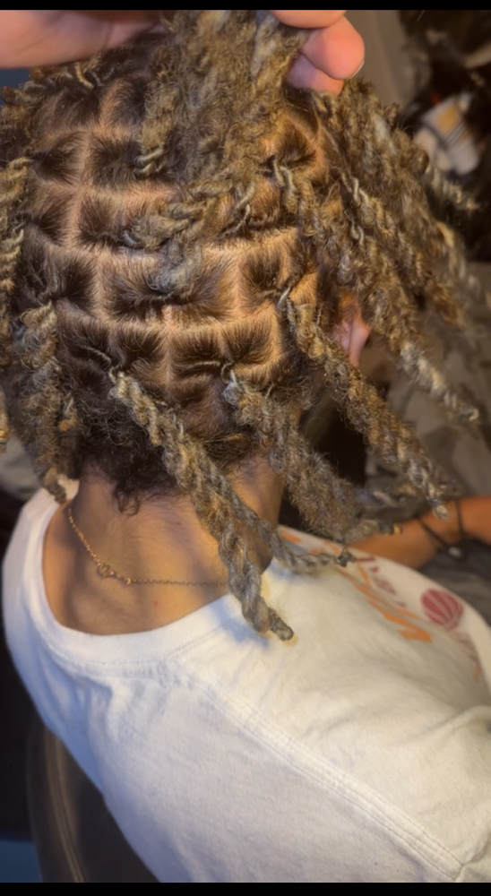 Reg Wash & Retwist.