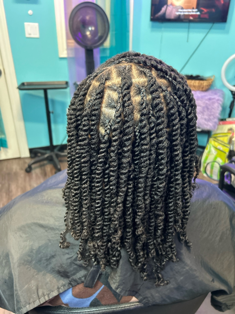 Natural Style (2 Strand Twist) at Thahairtherapist in Houston, TX