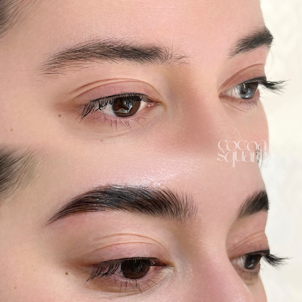 Brow Duo (Full Lami & Dye)