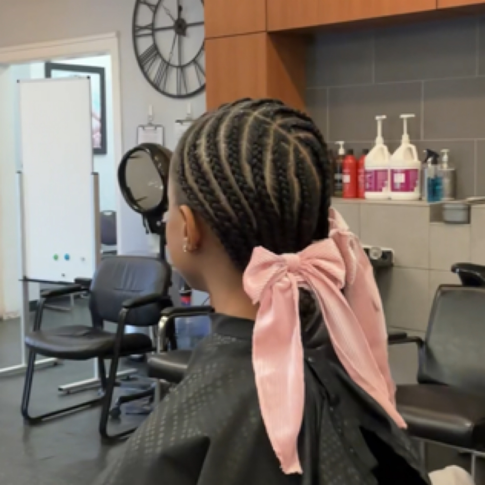 Natural Braid Styles at Gracefully Confident in Hazel Park, MI