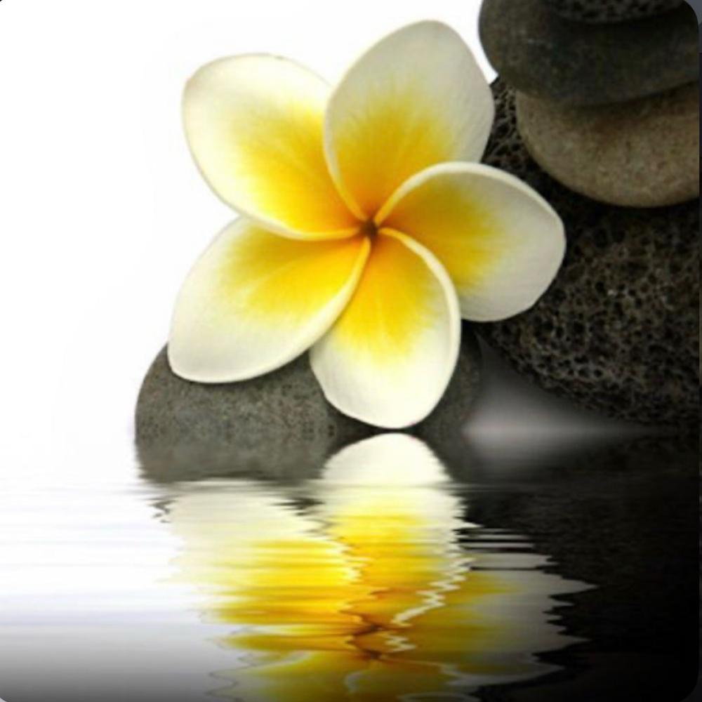 2 Hour Jami’s Therapeutic Touch