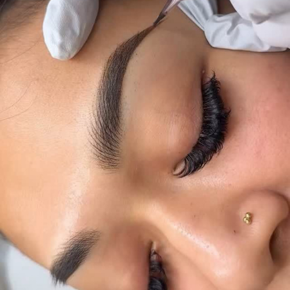 Nano Combination Brows at Rhoni Prunty in Rockford, IL