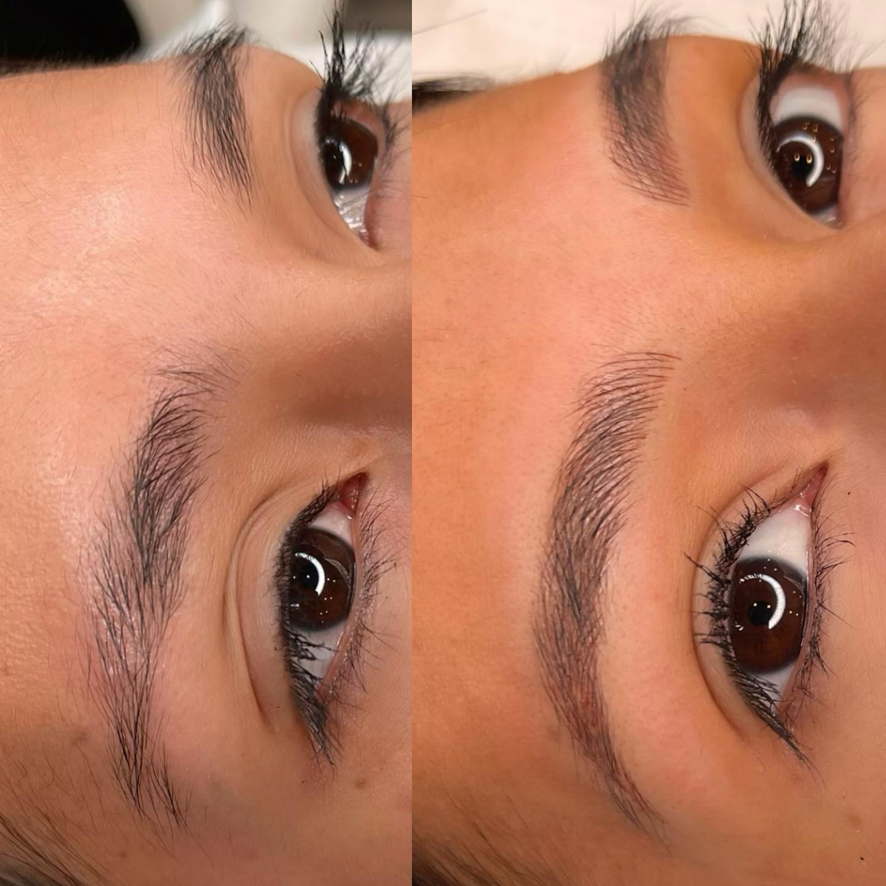 Microblading Touch-Up (under 18 mo)