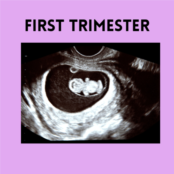 First Trimester (Sale $40) at Hello Sweet Baby Studios Shreveport in Shreveport, LA