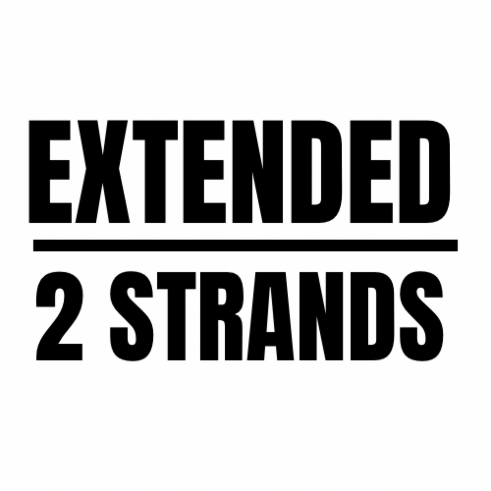 Extended 2 Strands at Loc’d Hair Studio in Redford, MI