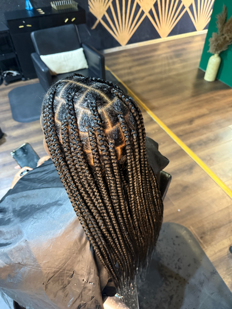 Large Knotless Braids at StylesbyShanti in Phoenix, AZ