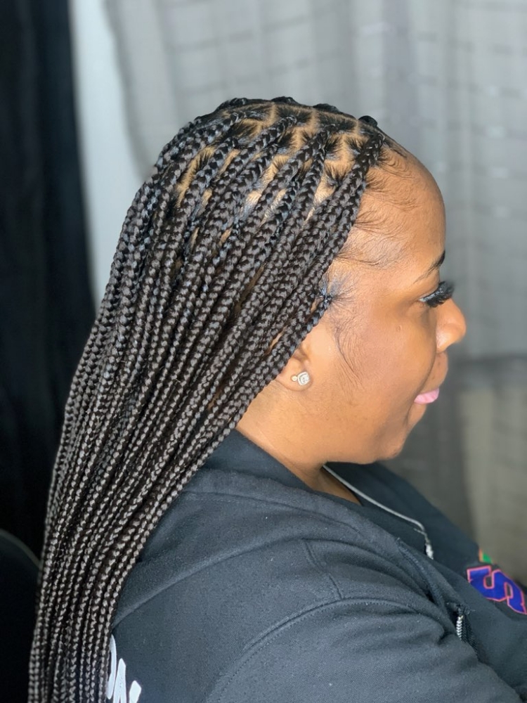 Small Knotless Braids(mid back)