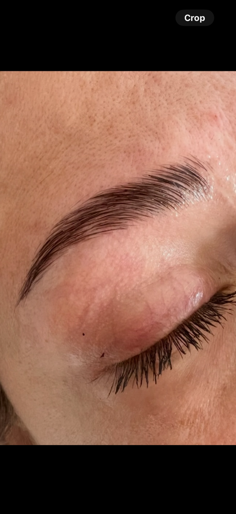 Eyebrow Lamination