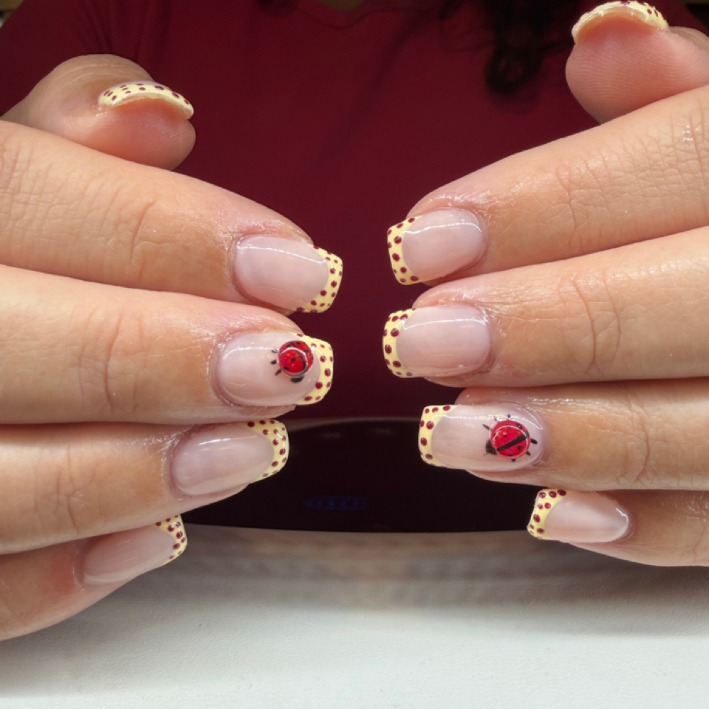 Builder Gel-Full Set at S & K Beauty Bar in Clio, MI