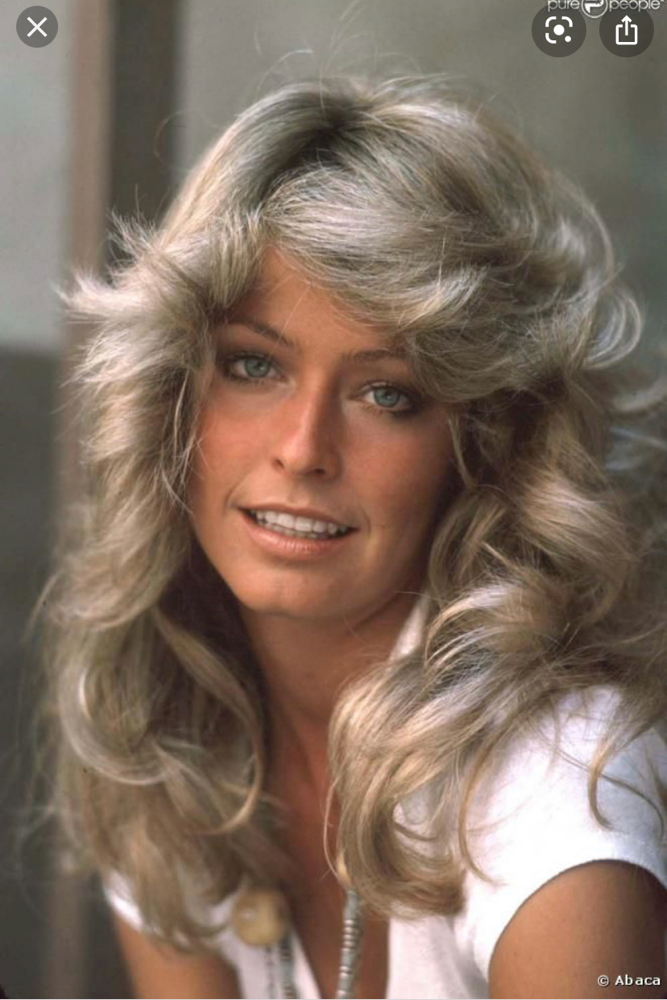 Womens Thick Hair Part Highlights