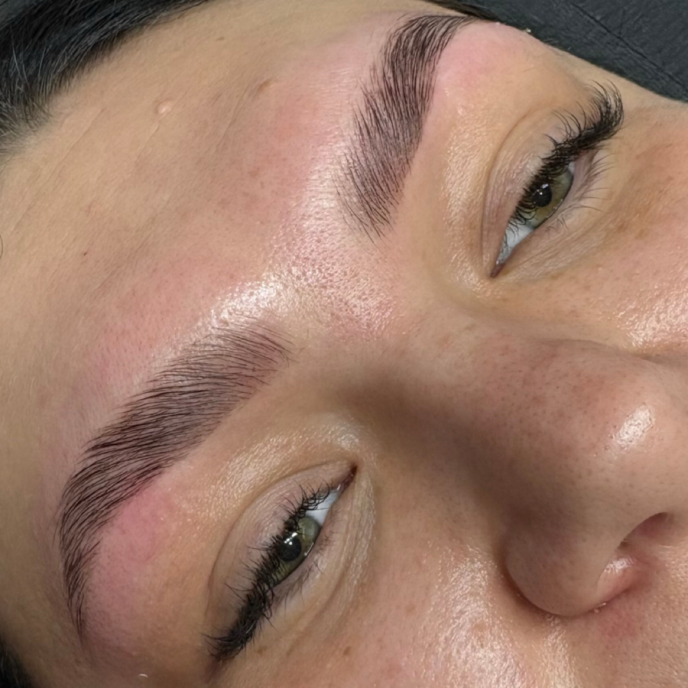 Brow Lamination + Tint at Premier Lash Spa & Academy in Effingham, IL