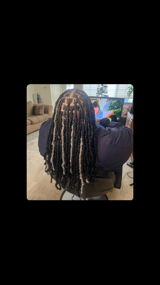 Spring Twists