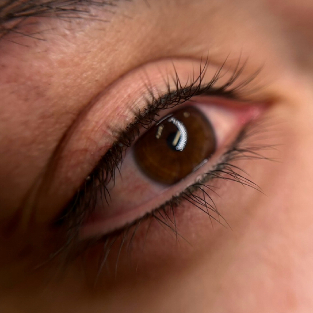 Lash Line Annual Touch Up at Adia Tattoo in San Diego, CA