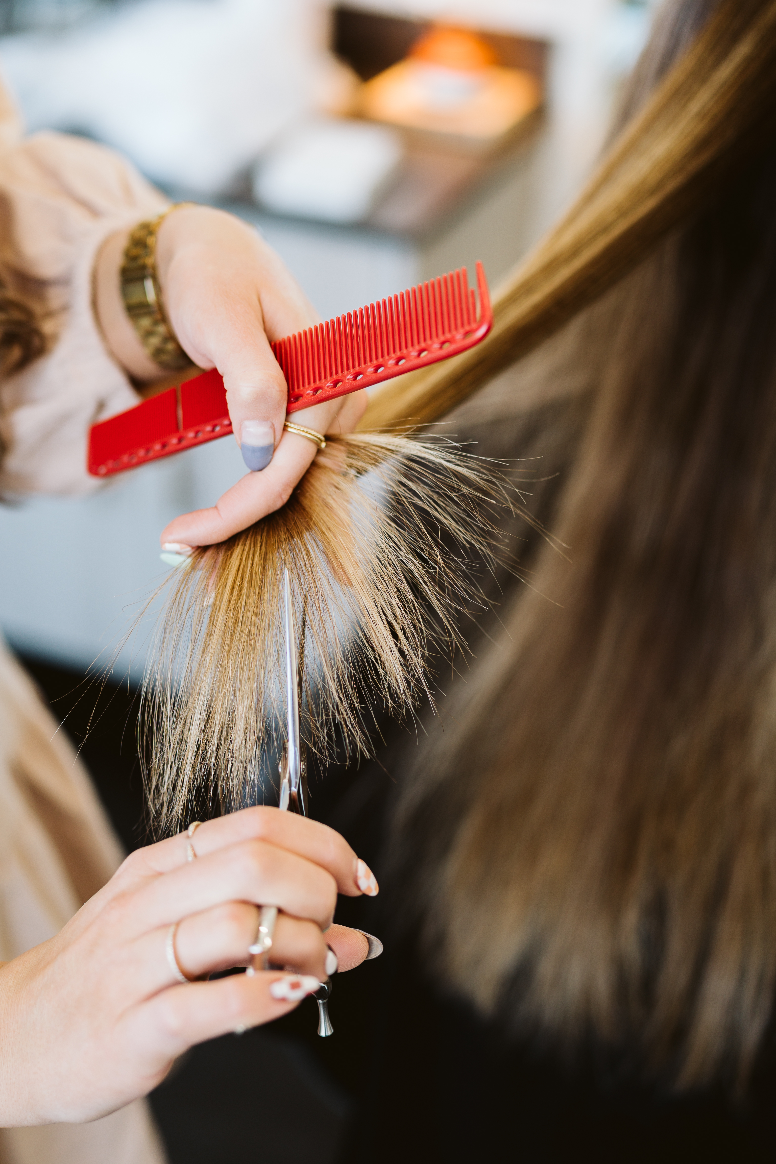 Womens Haircut