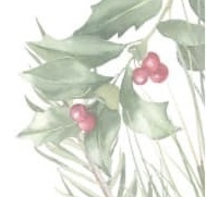 Peppermint Patty Facial