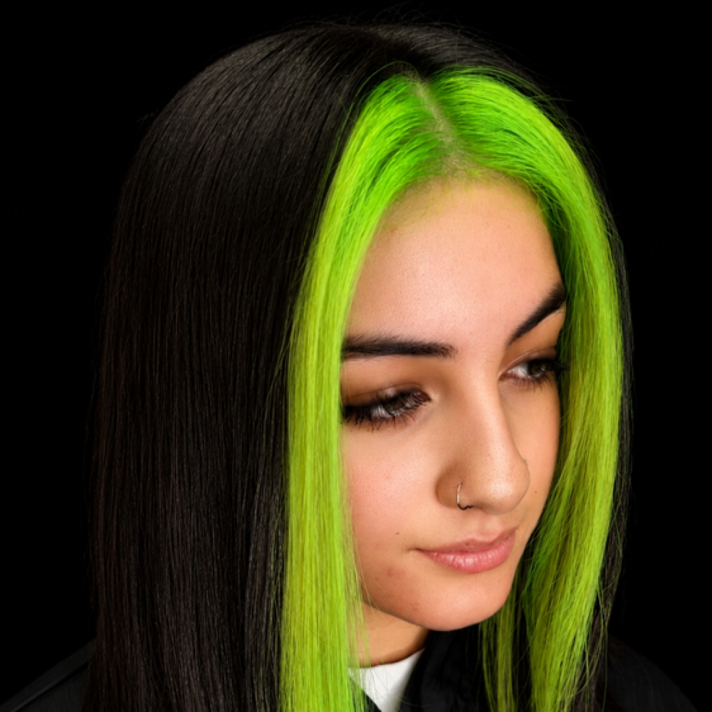 Creative Color Only Mini at The HairHouse HairHarlot in Austin, TX