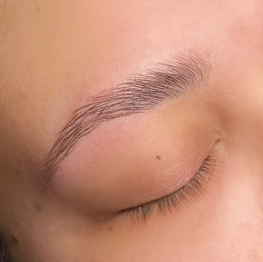 Eyebrow Lamination