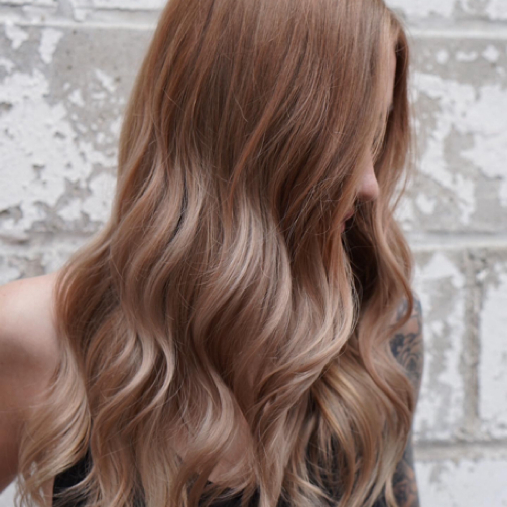 Partial Foil/Balayage at • Dead Rose Salon • Kayla and Lauryn Boyer in Minneapolis, MN