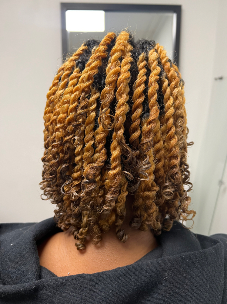 Medium Two Strand Twists