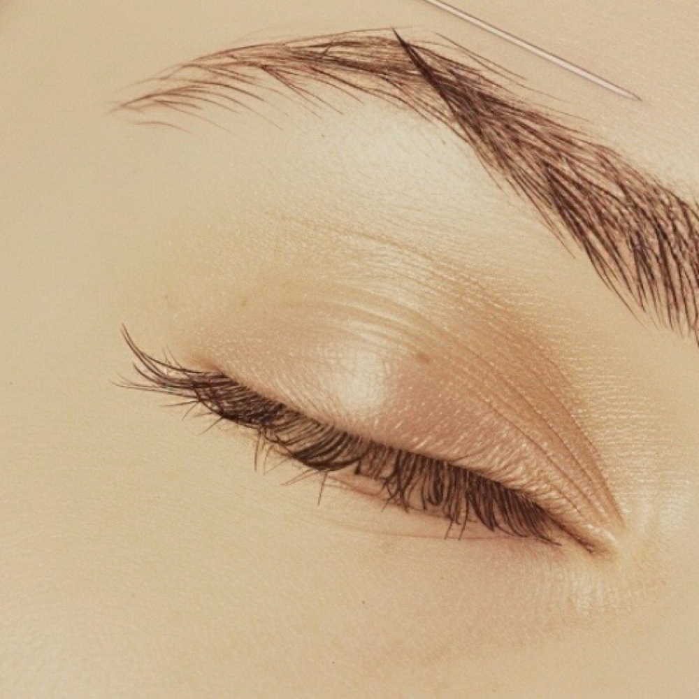 Brow Wax at EMVEESTYLES in Rogers, AR