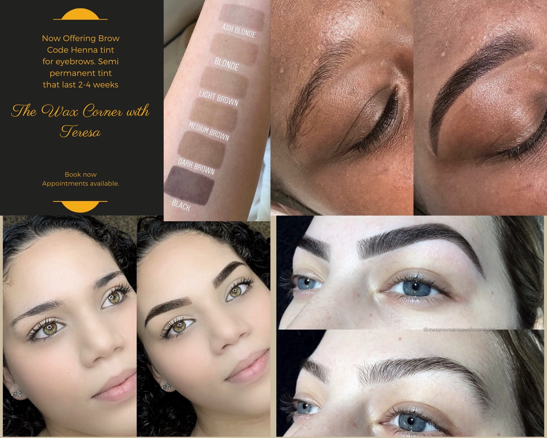 Henna Brow Tint / Eyebrow Waxing