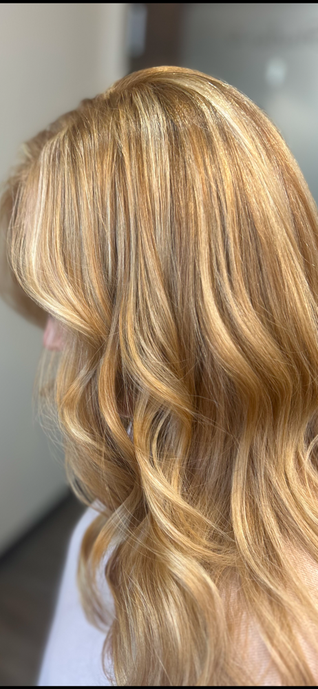 MINI  HILIGHT ( EXISTING CLIENTS)