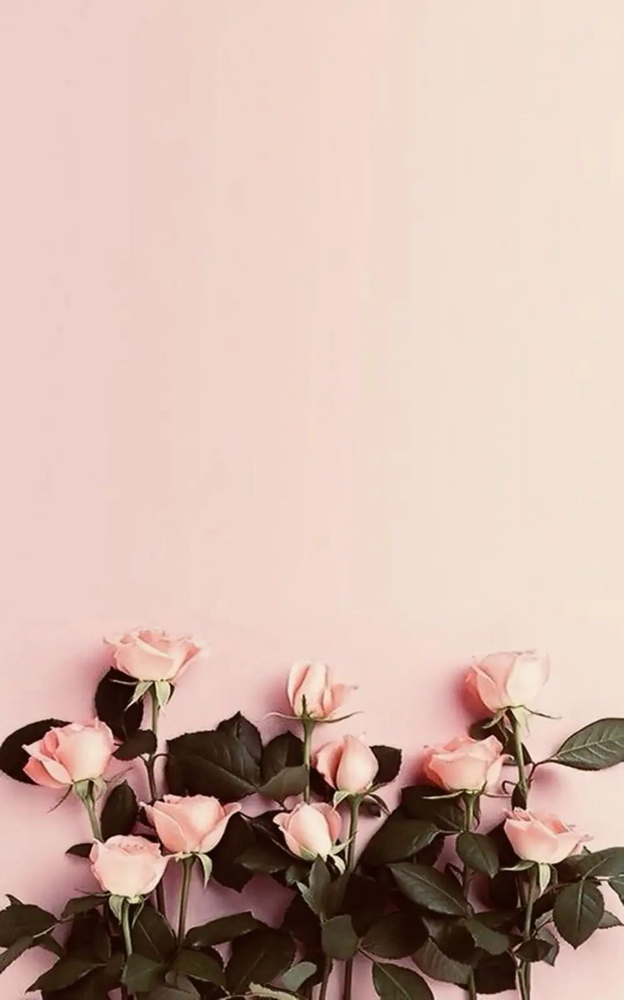 Mothers Day Special
